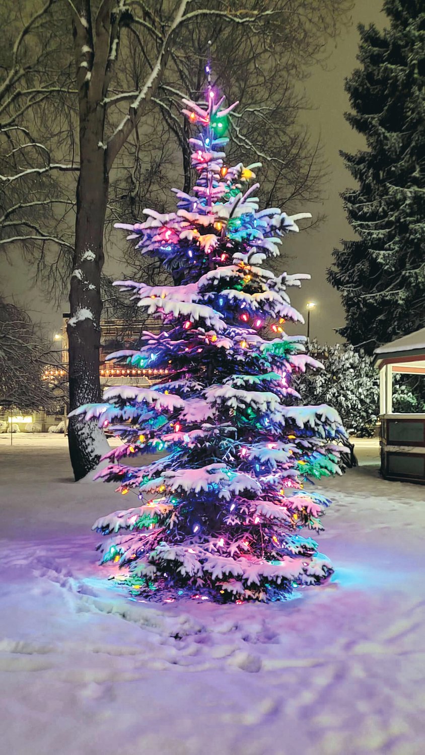 Centralia Mayor Max Vogt provided this photo of the Christmas tree in George Washington Park.